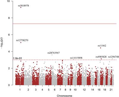 Genome-Wide Identification of RNA Modifications for Spontaneous Coronary Aortic Dissection